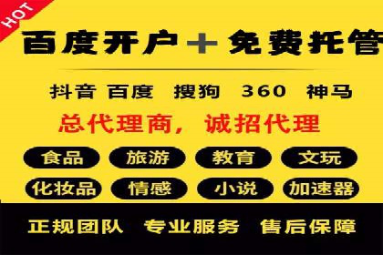 SEM推广公司案例：打造行业领军品牌